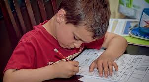 Homework Help    Tips For Kids With ADHD ADD To Get Organized At Home     WOLF   FRIENDS Ganz Parent Club   GanzWorld