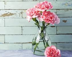 Pink Carnations Glass Vase Paint By