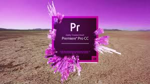 If you are a youtuber or a video editor editing a series for a client you can use a regular license. Premiere Pro Logo