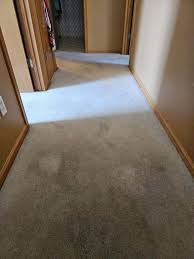 top rated residential carpet cleaning