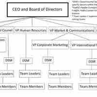 Organizational Structure Business