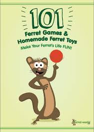 101 ferret games homemade ferret toys