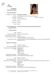 Sample Resume Of A Teacher In High School   Free Resume Example    