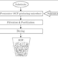 Flow Chart Of Single Cell Protein Production Modified From