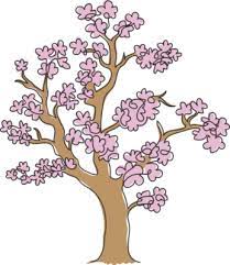 Beauty Cherry Blossom Tree