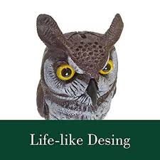 Gardeneer Great Horned Owl Ow 6com