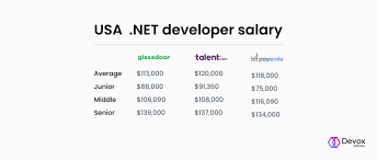 Net Developer Salary Guide Based On