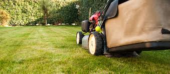 Grass Cutting Services Newbury Berkshire Mowing And Lawn