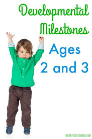2 and 3 year old milestones the