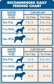 German Shepherd Feeding Chart World Of Reference