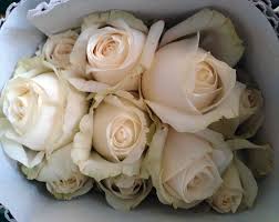 bunch of white rose flowers beautiful