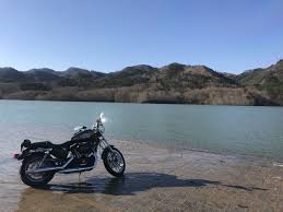 pin by hiroshi hoshina on motor bike bike life harley davidson harley