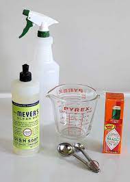 diy squirrel repellent recipe natural