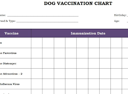 Dog Vaccination Chart Template Haven