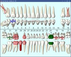 big graphical tooth chart
