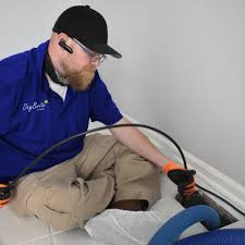 carpet cleaning in palm harbor fl