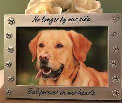 Check spelling or type a new query. 8 Thoughtful Gifts For Someone Whose Pet Died