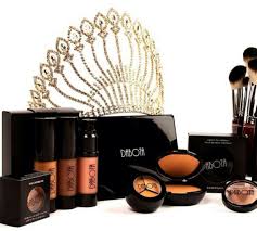 top 6 makeup brands by nigerians lux
