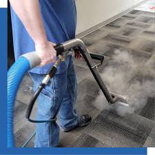 professional carpet cleaners contact