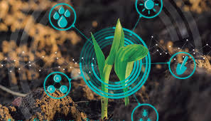 Mejorar la calidad del suelo: una estrategia de adaptación al cambio climático - Mundoagro