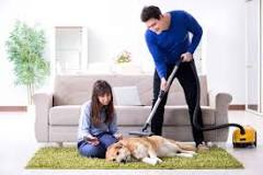does-vacuuming-your-dog-help-with-shedding
