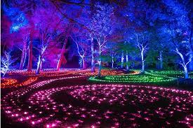 Brooklyn Botanic Garden S Lightscape
