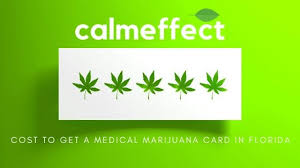 The registration period is valid for 2 years. Cost To Get A Medical Marijuana Card In Florida How Much Calmeffect Com
