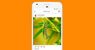 Whereas other free plant identification apps on the market require you to do the heavy lifting with plant identification, plantsnap uses its algorithm plantsnap is the first instant plant identification app that will work on the go (provided you have a cellular data connection). The 6 Best Nature Apps For Identifying Bugs Stars Tracks And Trees Fatherly