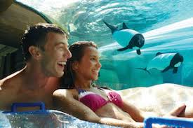 seaworld orlando aquatica orlando