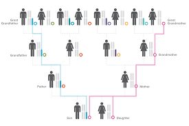 genetically closer to your pas