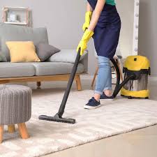 orland park house cleaning maids