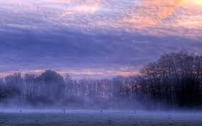 Resultado de imagen para morning fog images