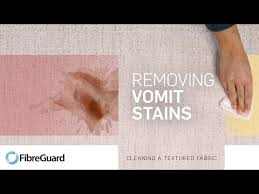 how to remove vomit stains from a