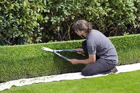 Revolutionizing Landscaping Business