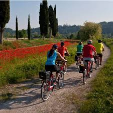 self guided cycling tours