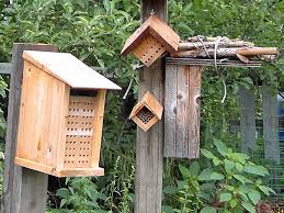 Bee Houses Our Habitat Garden