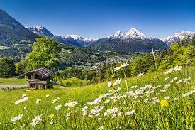 41,000+ Bavarian Alps Stock Photos, Pictures & Royalty-Free Images - iStock | Bavarian alps forest