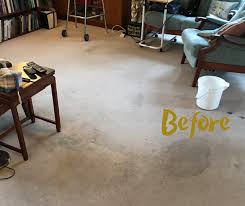 professional carpet cleaning company in