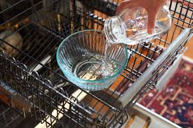 how to clean a dishwasher with just vinegar
