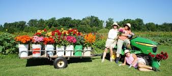 Flower Farming Business Starting