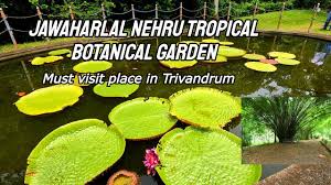 jawaharlal nehru tropical botanical