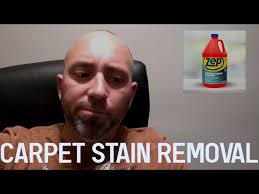 carpet stain removal zep premium carpet