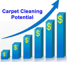 carpet cleaning business