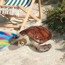 collectibles outdoor sea turtle frog