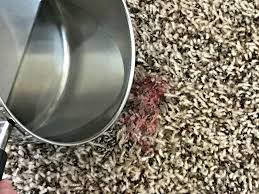 how to remove slime from carpet sweet