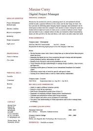 Digital Project Manager Resume Example Sample Technology