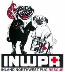 Forms faqs contact us nsw find my council. 10 Pug Rescue Ideas Pug Rescue Rescue Pugs