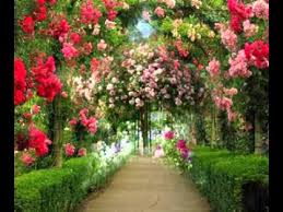 Rose Garden Design Ideas