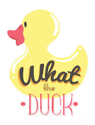 Hand lettered with love by yours truly. What The Duck Gift Funny Quote Gag Joke Pun Digital Art By Funny Gift Ideas