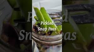 quick pickled snap peas recipe the